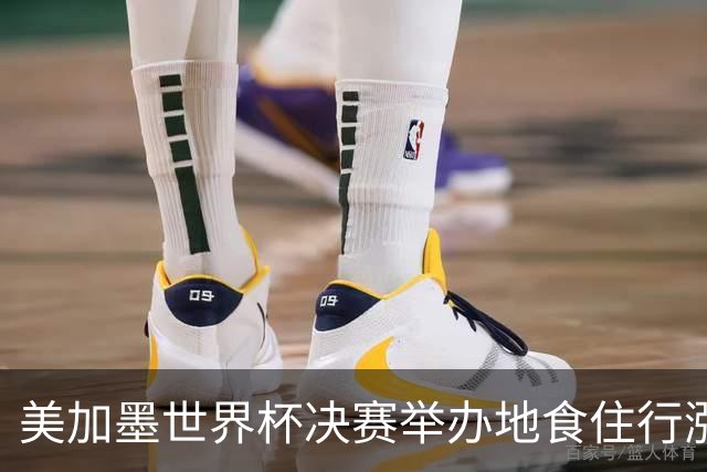 美加墨世界杯决赛举办地食住行涨价明显
